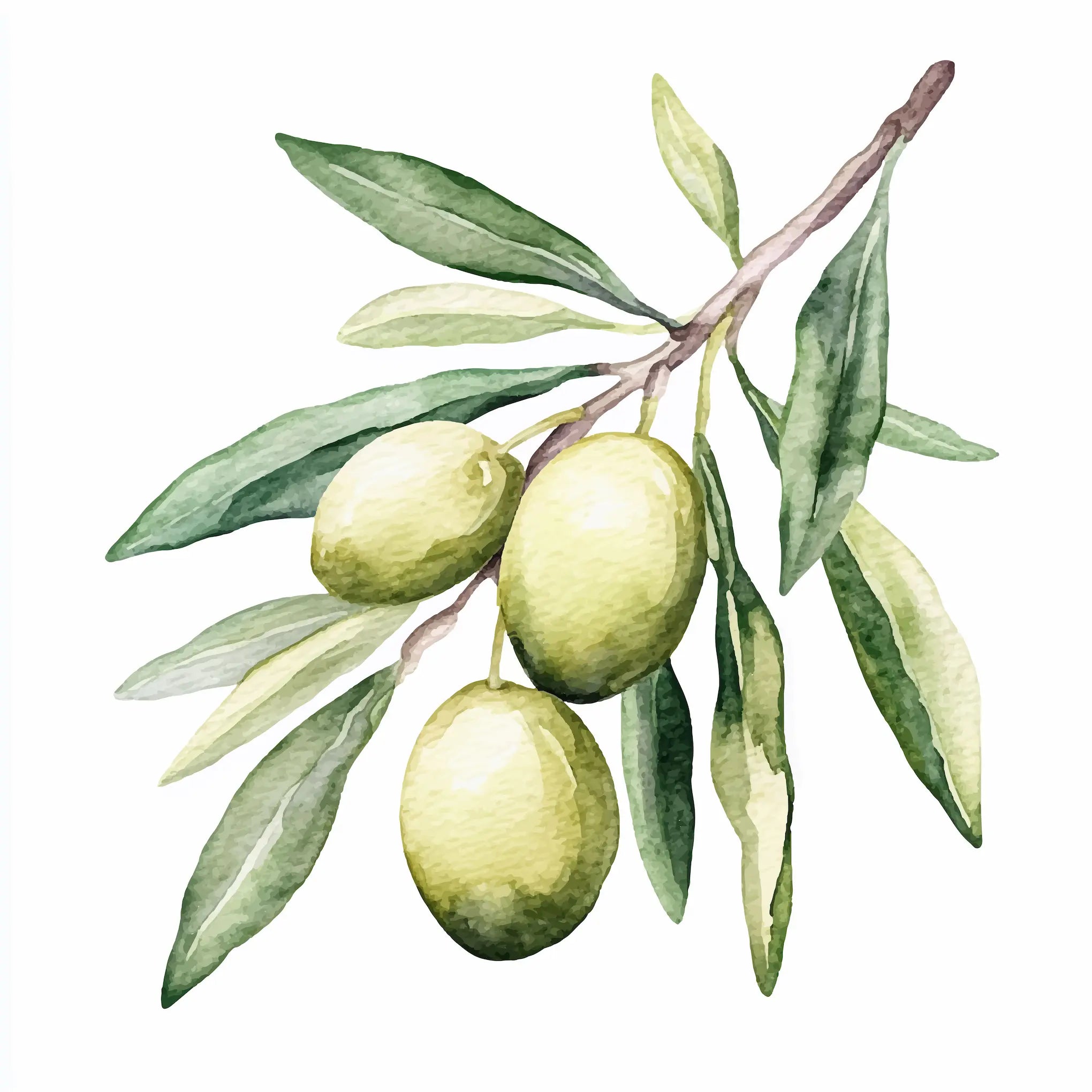 Huile d’olive