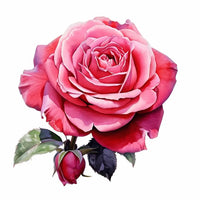 Eau de rose